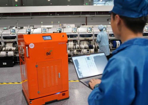 視點(diǎn)丨數(shù)字化轉(zhuǎn)型 專(zhuān)精特新企業(yè)面臨的攔路虎與信息咨詢